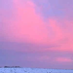 Meet your Posher, Aliya